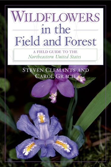 Wildflowers in the Field and Forest