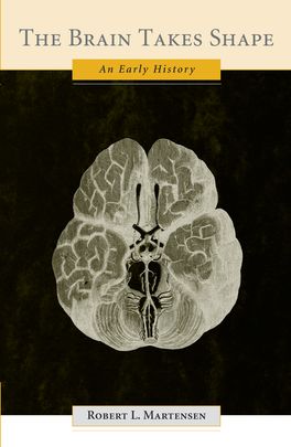 Brain Takes Shape, The