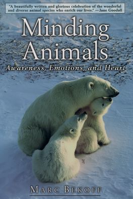 Minding Animals