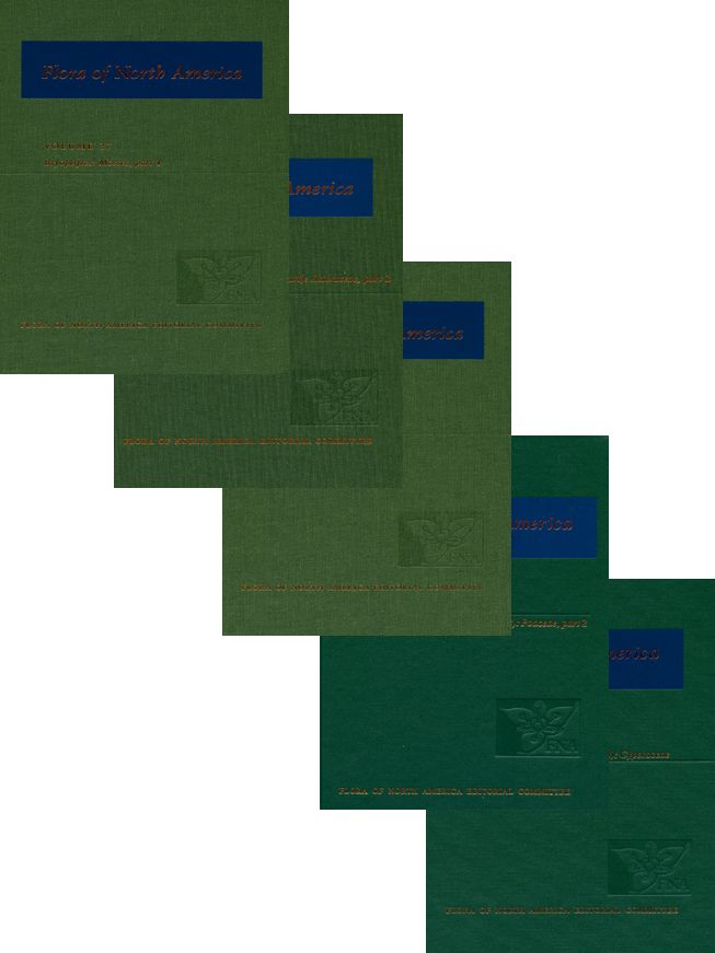 Flora of North America, Volume 21