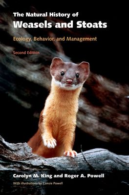 Natural History of Weasels and Stoats, The