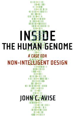 Inside the Human Genome