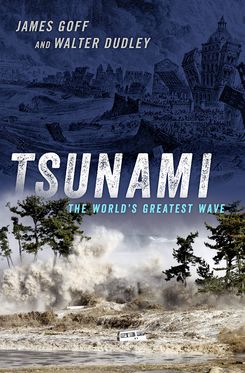 Tsunami The World's Greatest Waves