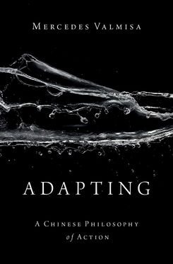 Adapting A Chinese Philosophy of Action