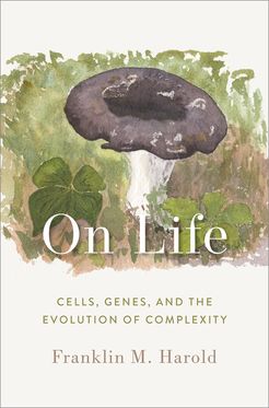 On Life Cells, Genes, and the Evolution of Complexity