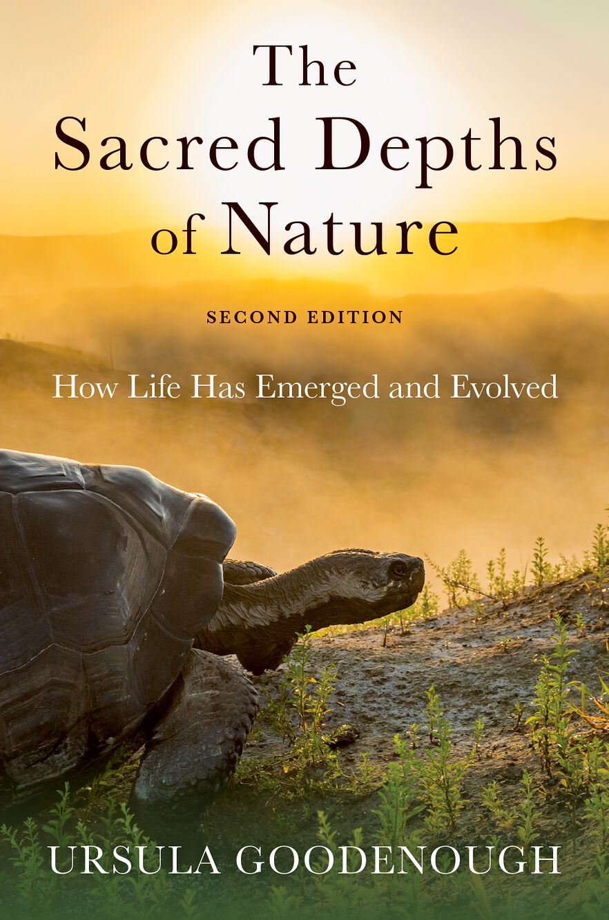 The Sacred Depths of Nature How Life Has Emerged and Evolved
