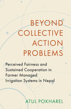 Beyond Collective Action Problems