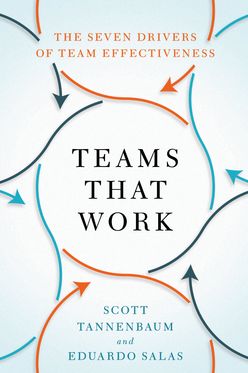 Teams That Work The Seven Drivers of Team Effectiveness