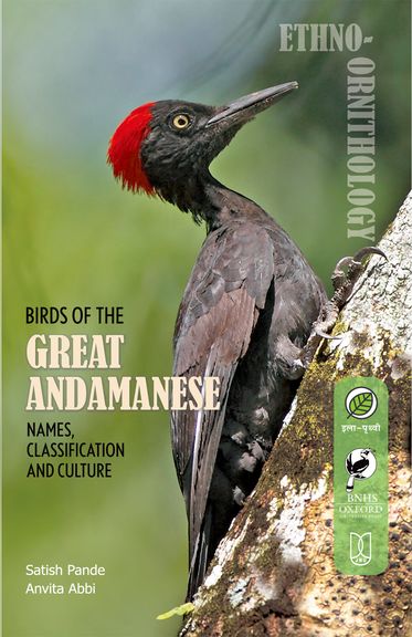 Birds of the Great Andamanese