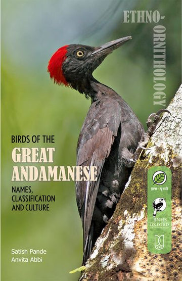 Birds of the Great Andamanese