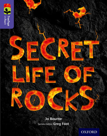 TreeTops InFact Level 11 Secret Life of Rocks