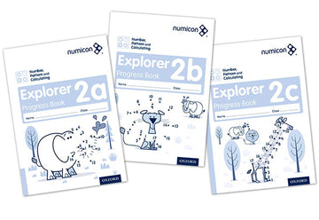 Number, Pattern & Calculating Explorer Progress Book 2 A,B,C (Mixed Pack)