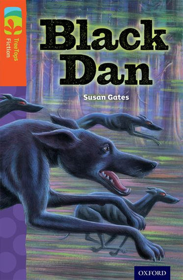 TreeTops Fiction Level 13A Black Dan
