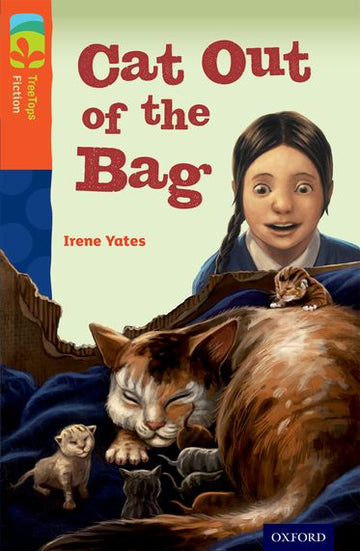 TreeTops Fiction Level 13B Cat Out of the Bag