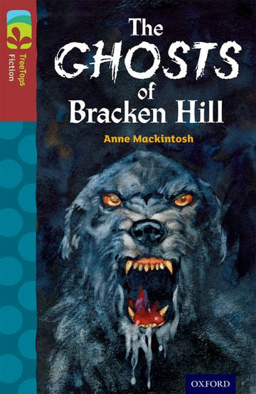 TreeTops Fiction Level 15 The Ghosts of Bracken Hill