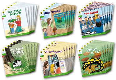 Biff, Chip and Kipper Level 2 More Patterned Stories A Class Pack of 36