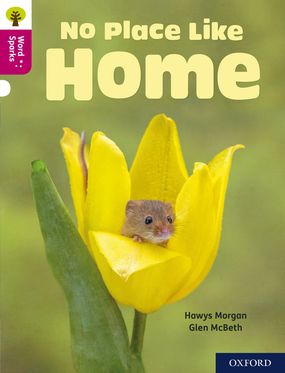 Oxford Reading Tree Word Sparks: Level 10 No Place Like Home