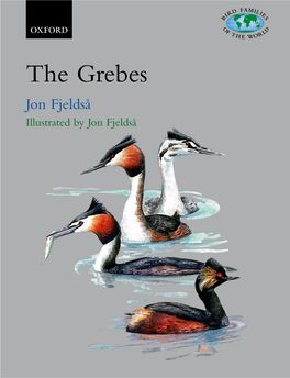 Grebes, The