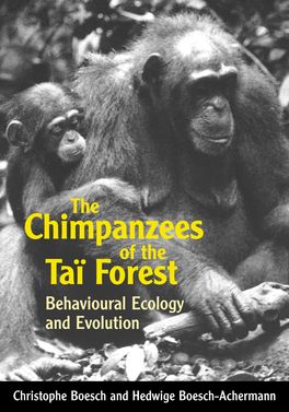 Chimpanzees of the Tai Forest, The