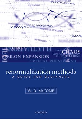 Renormalization Methods