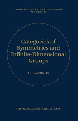 Categories of Symmetries and Infinite-Dimensional Groups