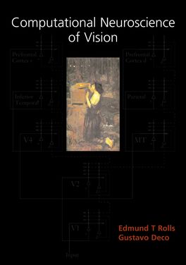 Computational Neuroscience of Vision