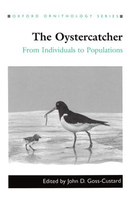 Oystercatcher, The