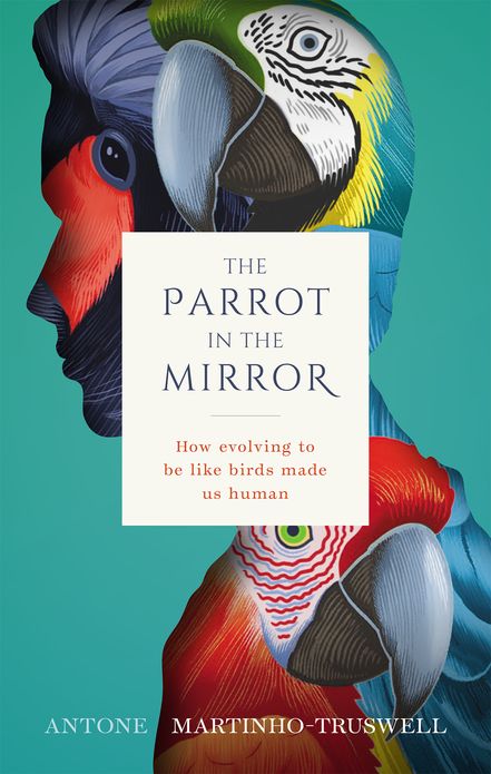 Parrot in the Mirror How evolving to be like birds made us human, The