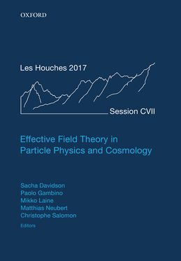 Effective Field Theories in Particle Physics and Cosmology