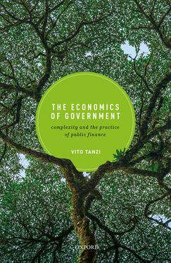 The Economics of Government Complexity and the Practice of Public Finance