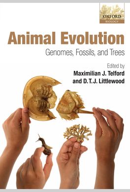 Animal Evolution