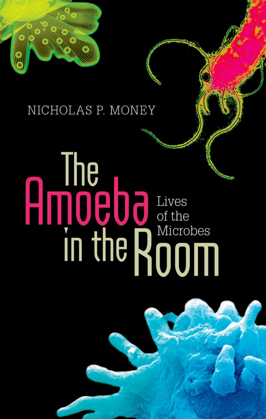 Amoeba in the Room, The