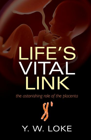 Life's Vital Link The astonishing role of the placenta