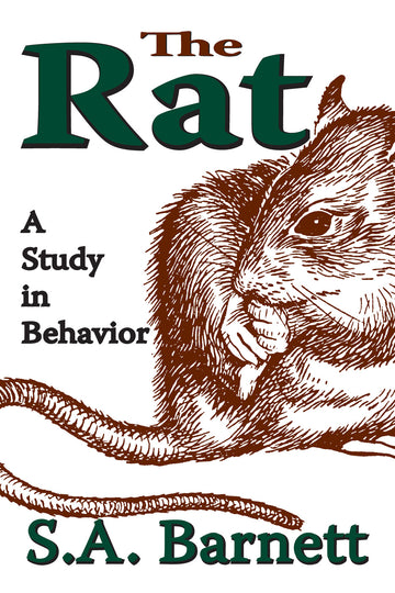 Rat