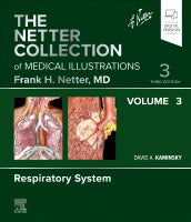 The Netter Collection of Medical Illustrations:                 Respiratory System, Volume 3