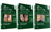 The Netter Collection of Medical Illustrations:                 Digestive System Package