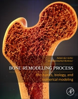 Bone Remodelling Process: From Biology to Mechanobiological Modelling