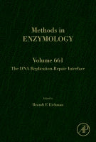 Replication-coupled repair