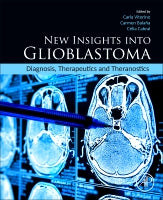 New insights into glioblastoma: diagnosis, therapeutics and theranostics