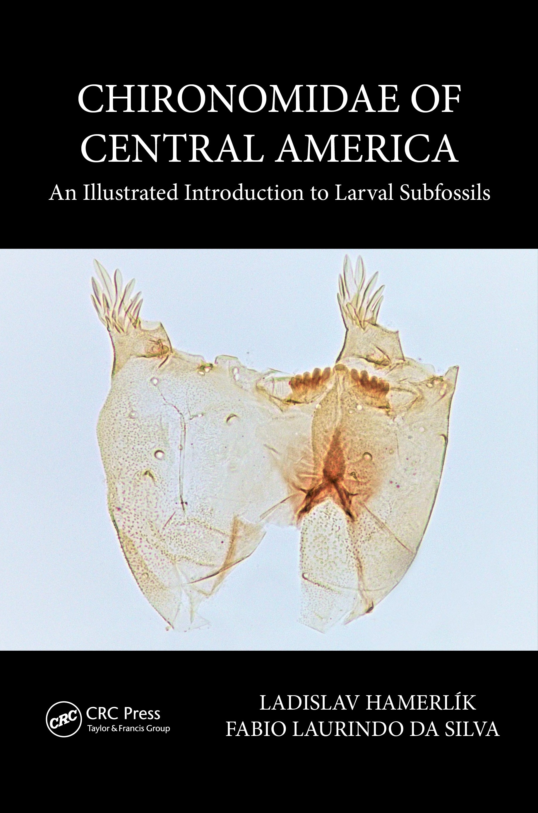 Chironomidae of Central America