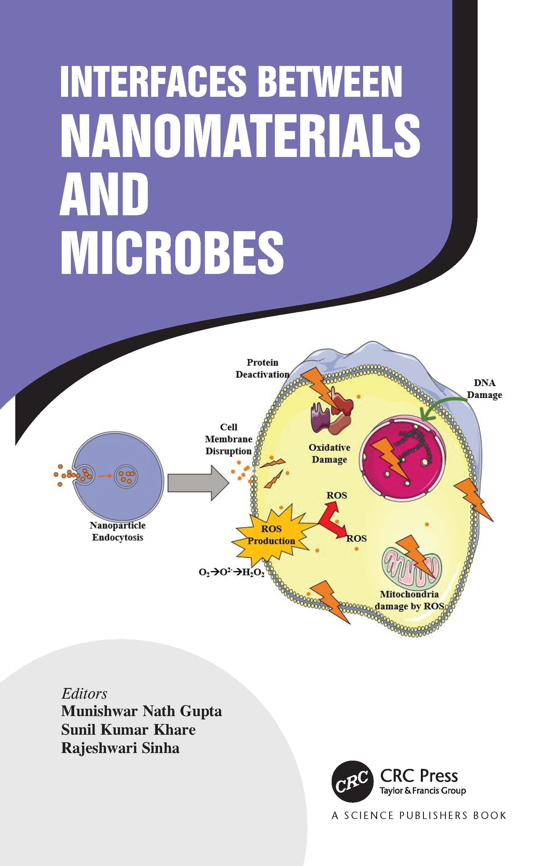 Interfaces Between Nanomaterials and Microbes