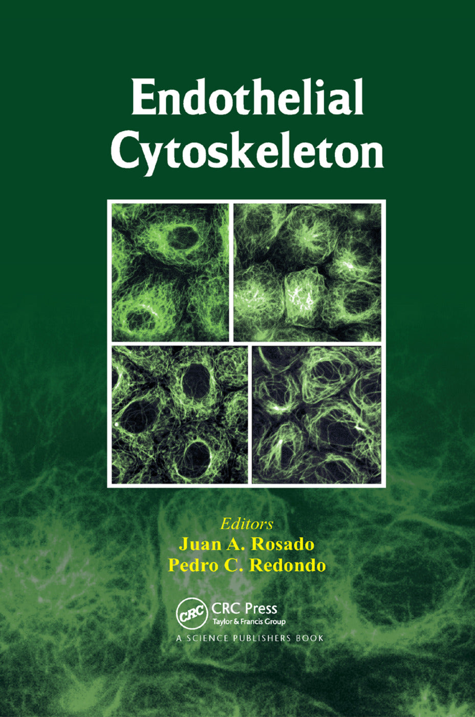 Endothelial Cytoskeleton