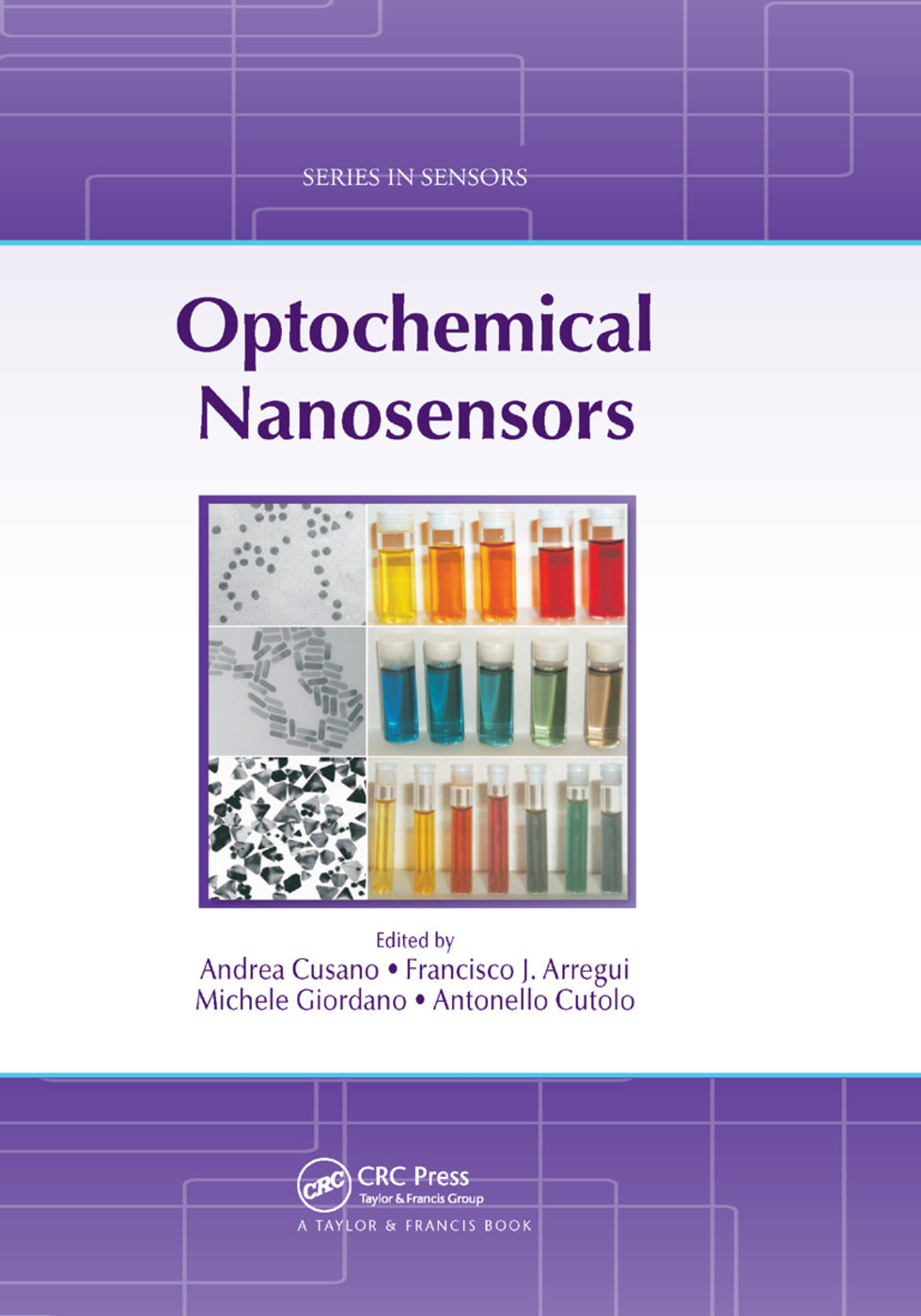 Optochemical Nanosensors