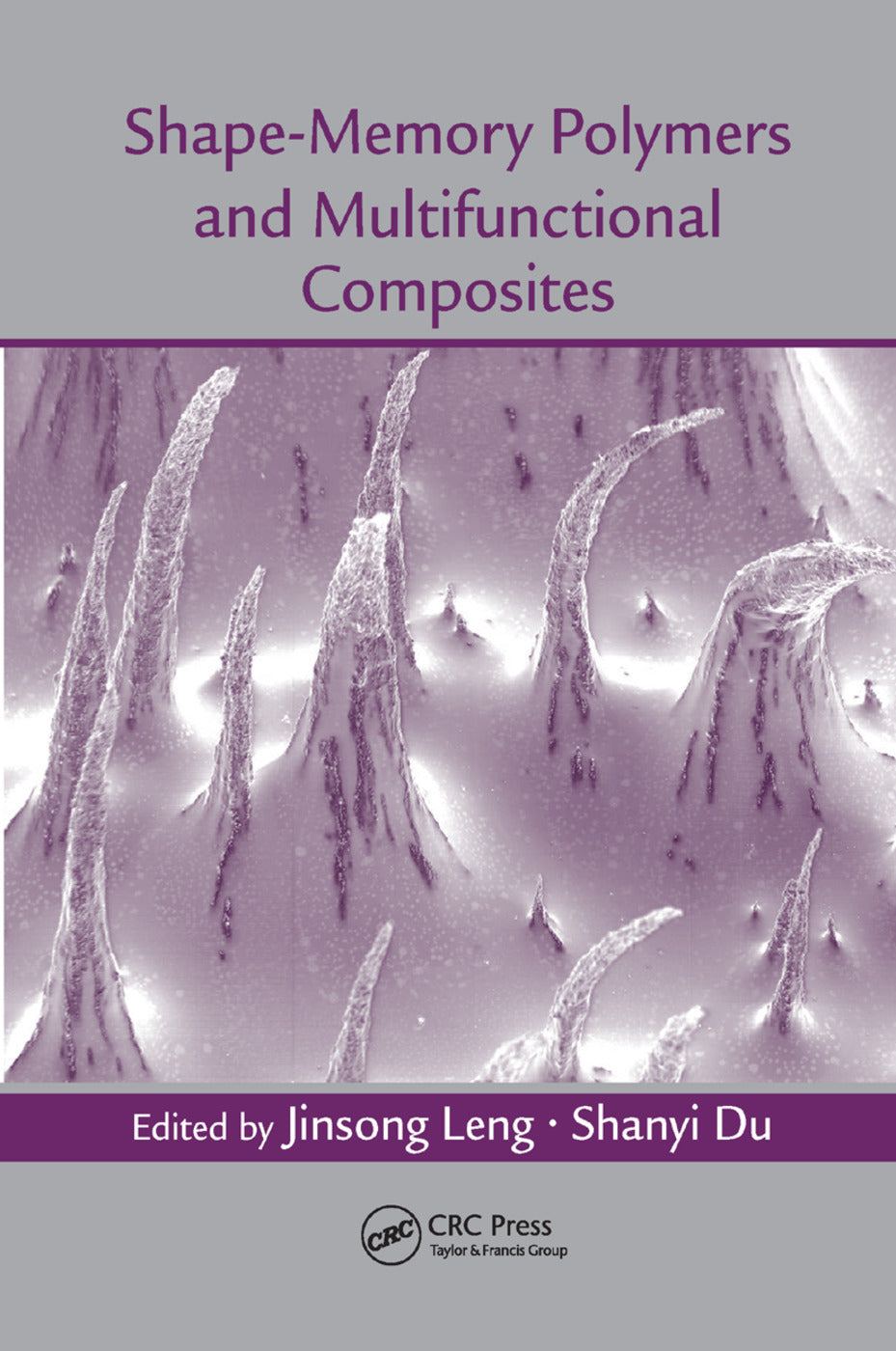 Shape-Memory Polymers and Multifunctional Composites