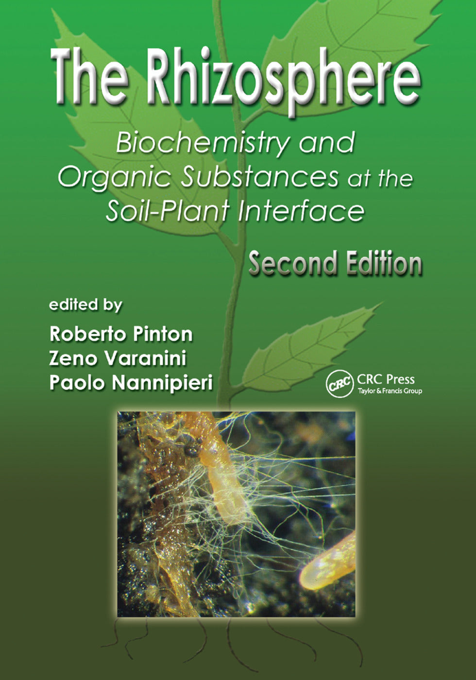 Rhizosphere