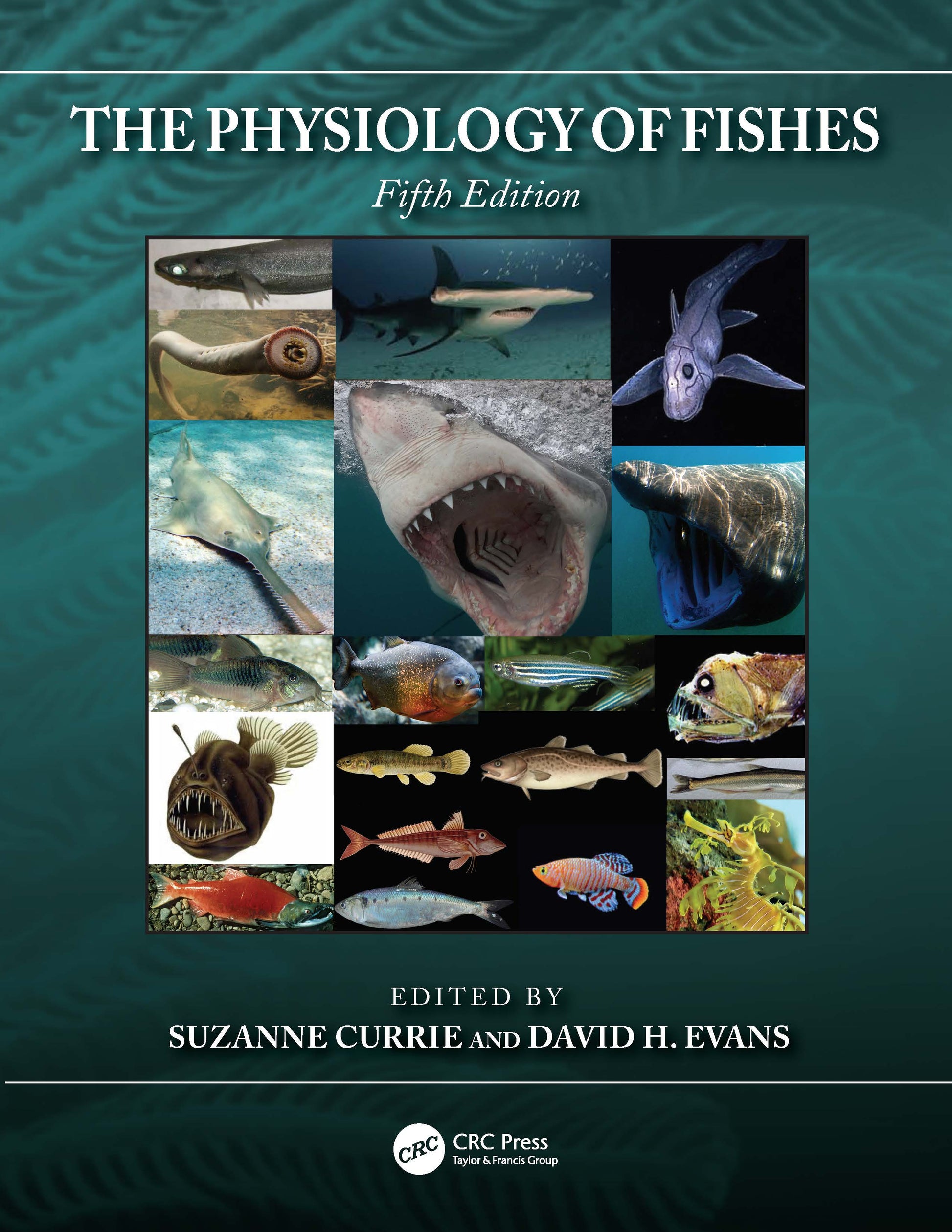 Physiology of Fishes