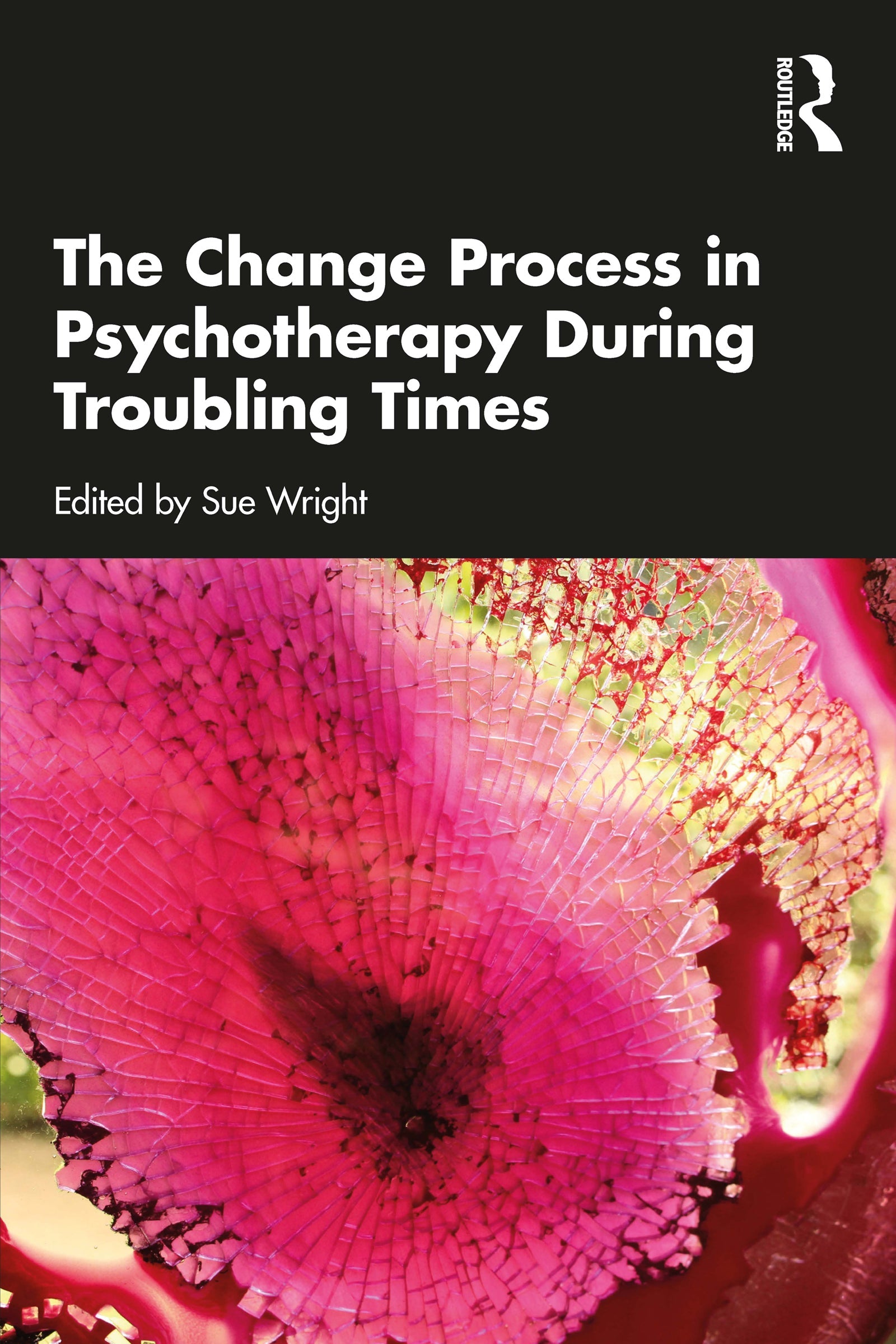 Change Process in Psychotherapy During Troubling Times