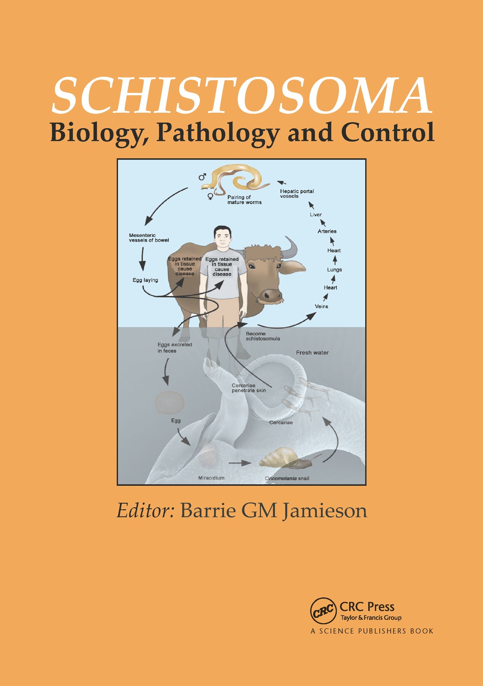 Schistosoma