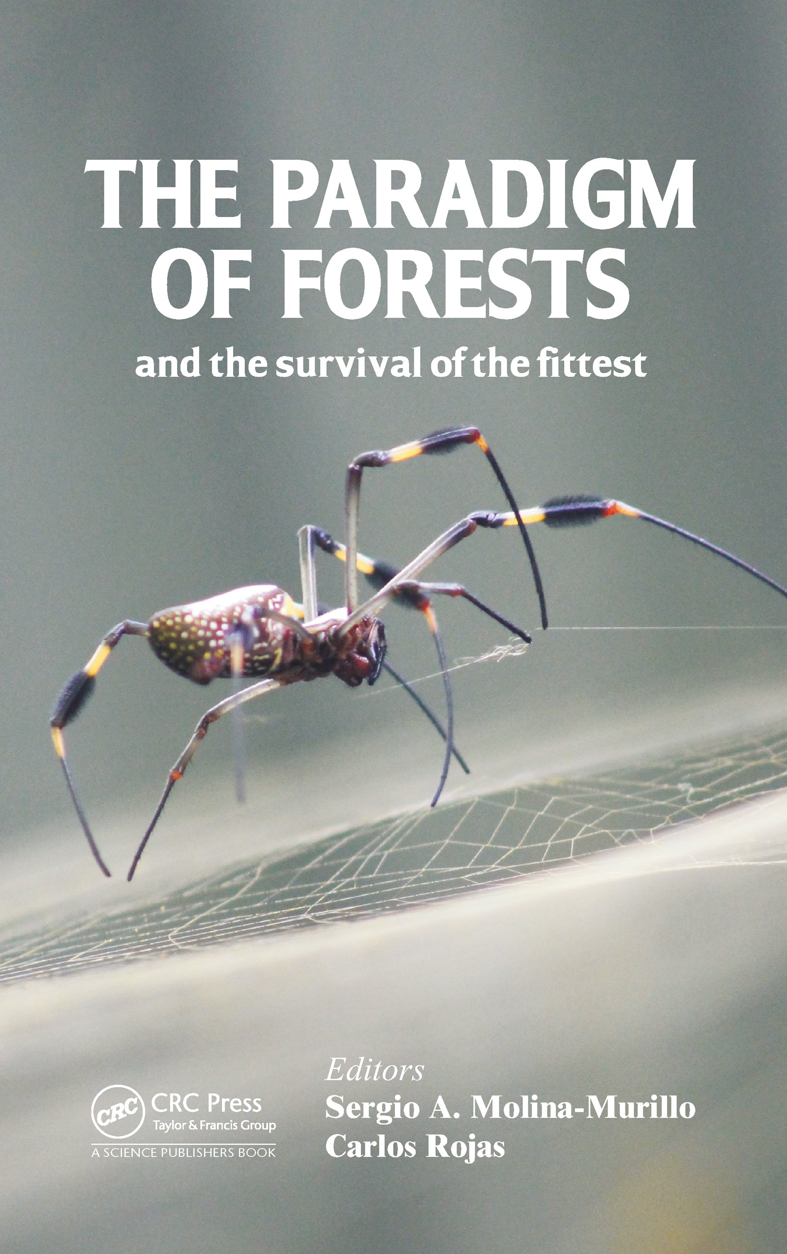Paradigm of Forests and the Survival of the Fittest