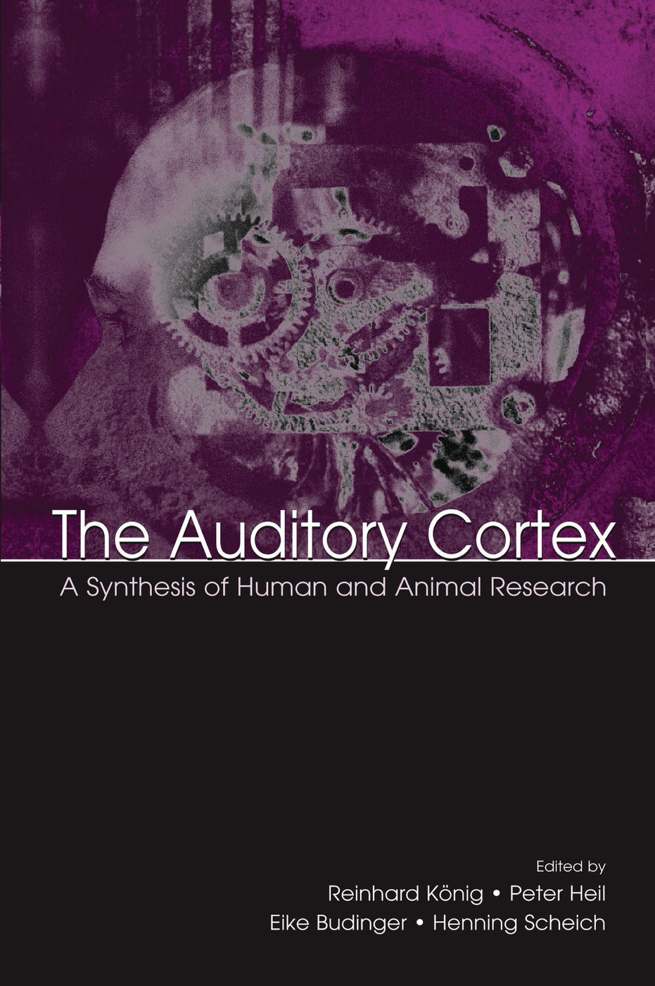 Auditory Cortex